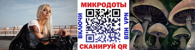 Купить где  Каргат  Псилоцибиновые грибы ЛСД 
